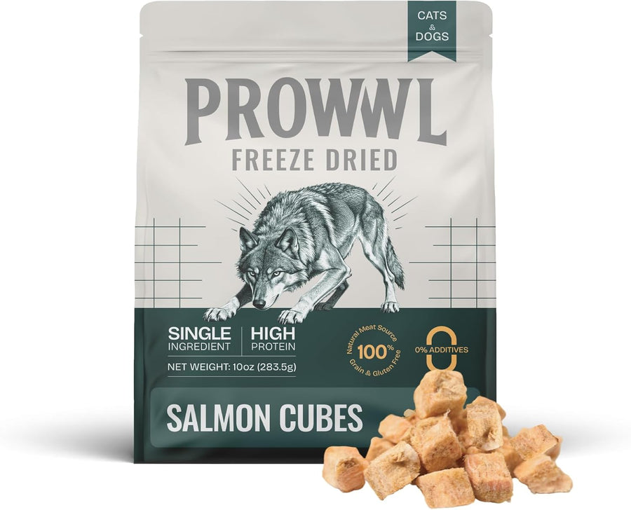 What Makes Freeze-Dried Treats Different?