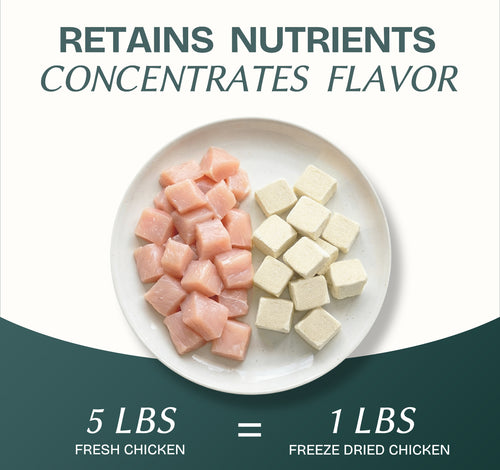 Chicken Cubes Single-Ingredient Treats for Cats & Dogs 10oz