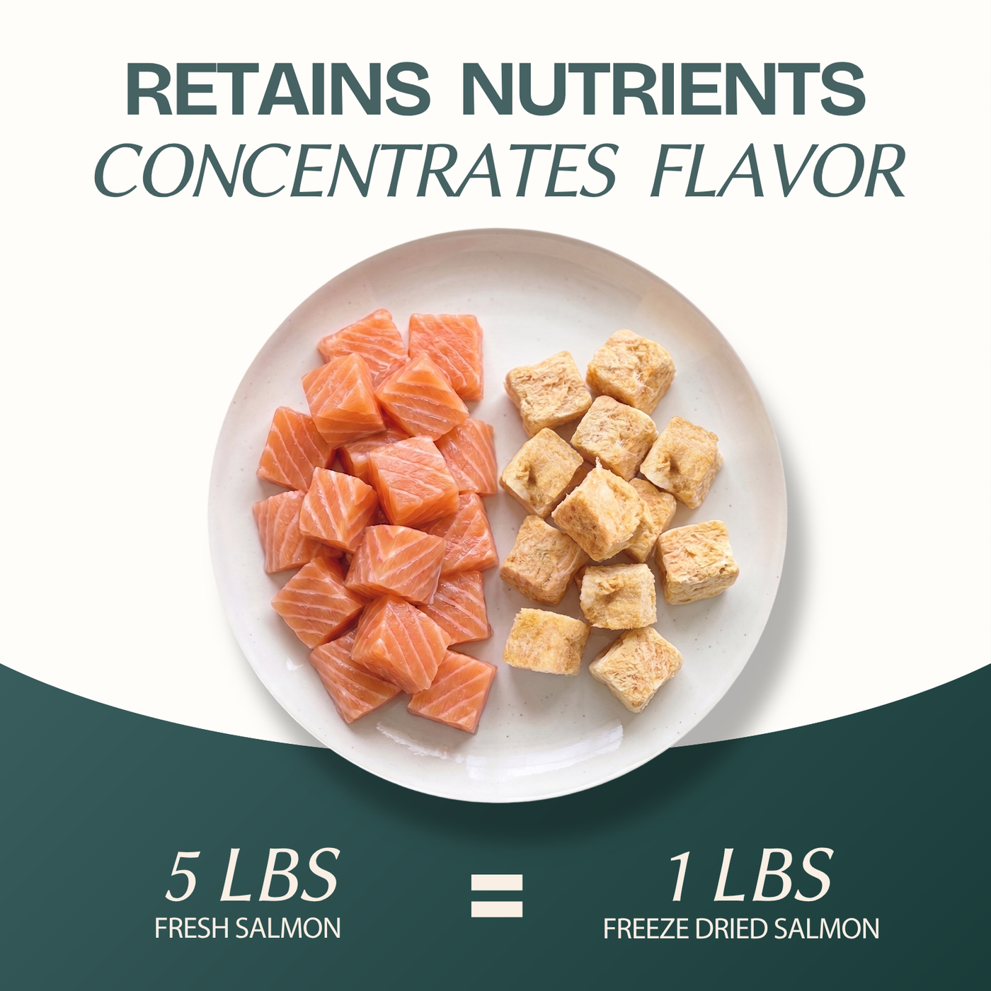 Salmon Cubes Single-Ingredient Treats for Cats & Dogs 10oz