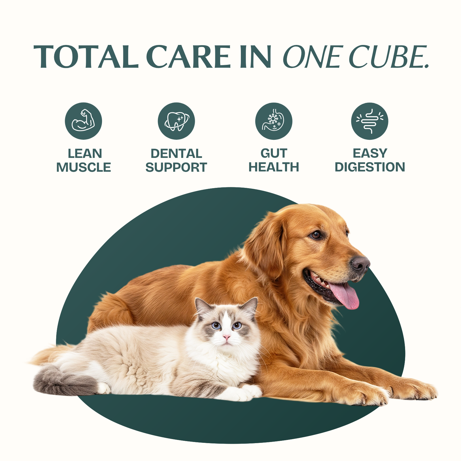 Salmon Cubes Single-Ingredient Treats for Cats & Dogs 10oz