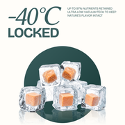 Salmon Cubes Single-Ingredient Treats for Cats & Dogs 10oz