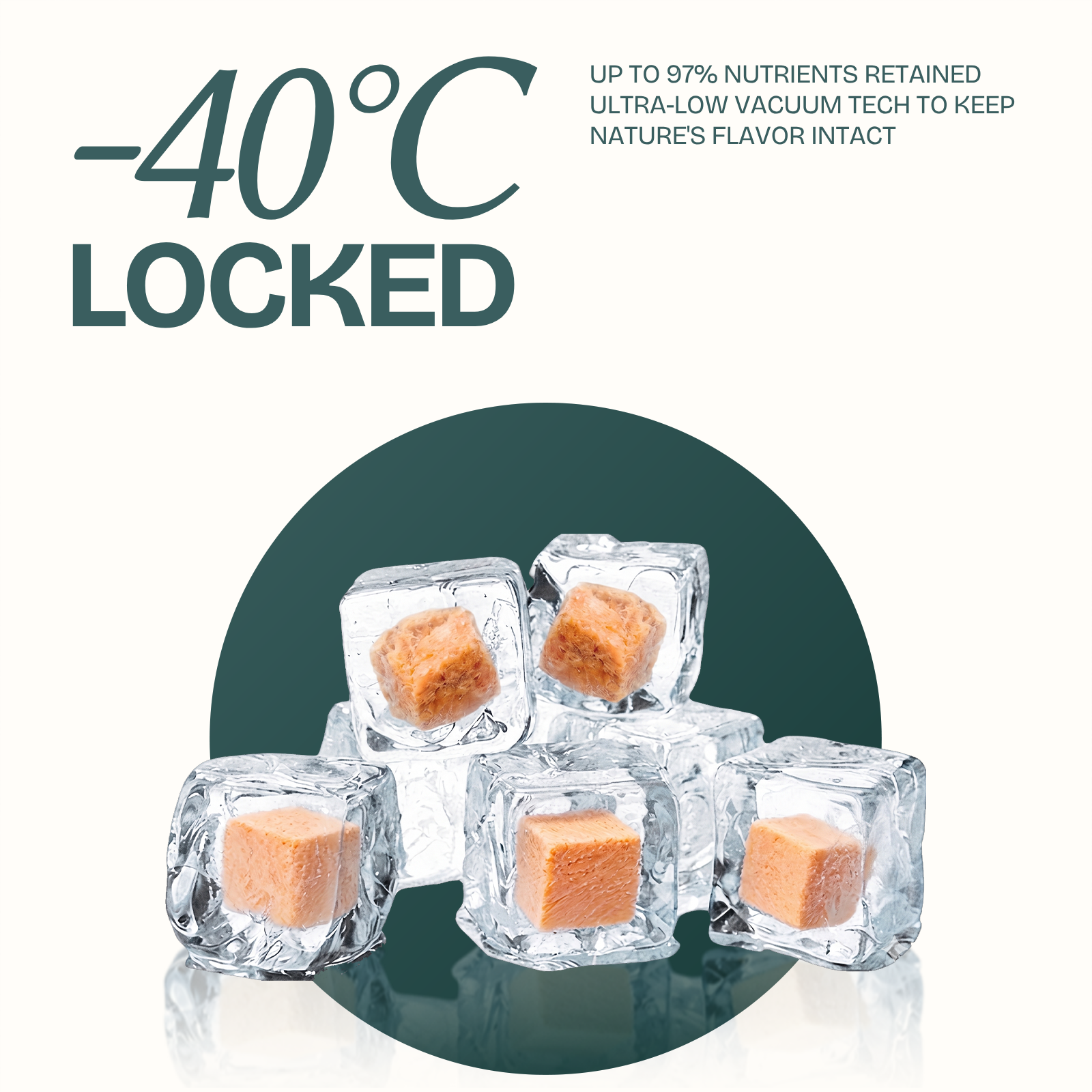 Salmon Cubes Single-Ingredient Treats for Cats & Dogs 10oz