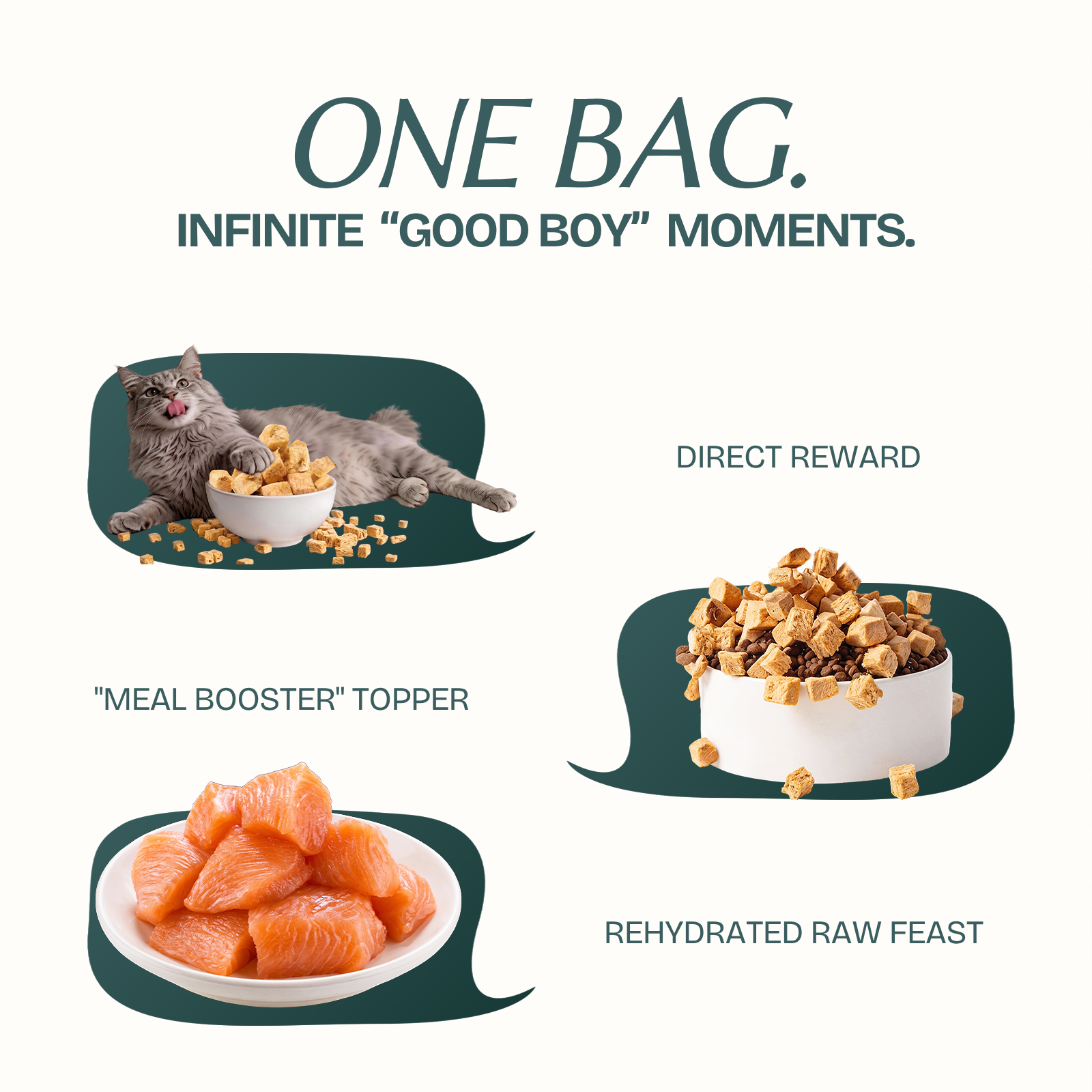 Salmon Cubes Single-Ingredient Treats for Cats & Dogs 10oz