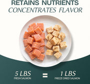 Freeze Dried Salmon Cubes Cat & Dog Treats for Training, Healthy High Protein Limited Single Ingredient Pet Food Snacks for Small, Medium, and Large Dogs Cats (Raw Salmon Cubes, 3oz)