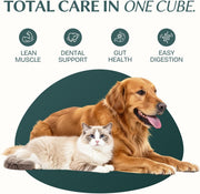 Freeze Dried Duck Cubes Cat & Dog Treats for Training, Healthy High Protein Limited Single Ingredient Pet Food Snacks for Small, Medium, and Large Dogs Cats (Raw Duck Cubes, 3oz)