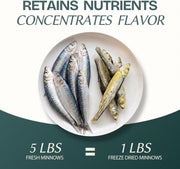 Freeze Dried Minnows Cat & Dog Treats for Training, Healthy High Protein Limited Single Ingredient Pet Food Snacks for Small, Medium, and Large Dogs Cats (Raw Minnows, 3oz)