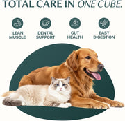 Freeze Dried Chicken Heart Cat & Dog Treats for Training, Healthy High Protein Limited Single Ingredient Pet Food Snacks for Small, Medium, and Large Dogs Cats (Raw Chicken Heart Cubes, 3oz)