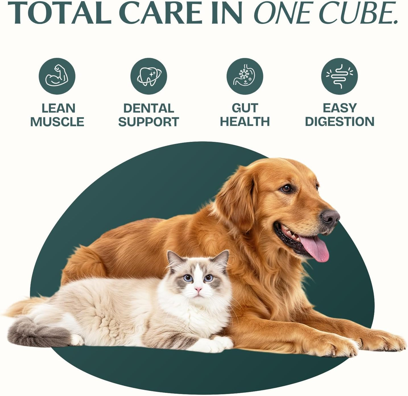 Freeze Dried Chicken Heart Cat & Dog Treats for Training, Healthy High Protein Limited Single Ingredient Pet Food Snacks for Small, Medium, and Large Dogs Cats (Raw Chicken Heart Cubes, 8oz)