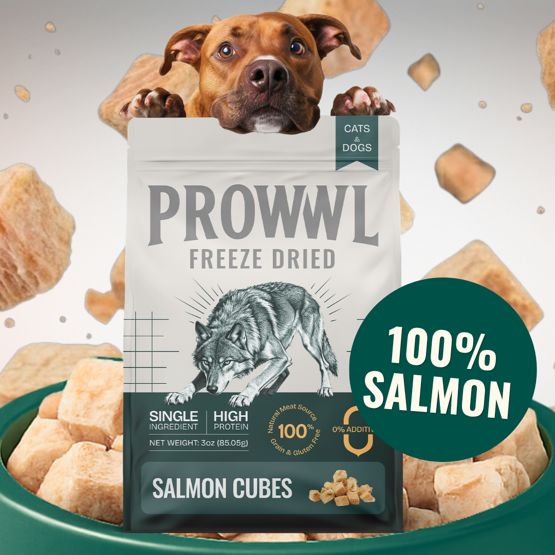 A bag of Prowvl Freeze Dried Salmon Cubes is in front of a dog peeking over the package, with floating freeze-dried salmon pieces around it and a green badge of 100% SALMON.