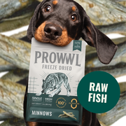 A dachshund holds a bag of Prowvl Freeze Dried Raw Fish Minnows cat food in its mouth, with a blurred natural background minnows.